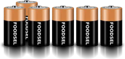 6.9 size D batteries