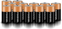 12.8 size D batteries