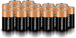 17.3 size D batteries