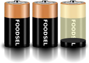 2.1 size D batteries