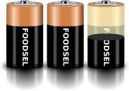 2.5 size D batteries