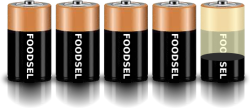 4.3 size D batteries