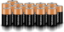 16.9 size D batteries