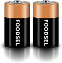 2.0 size D batteries