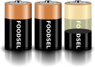 2.4 size D batteries