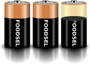 2.7 size D batteries