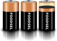 2.9 size D batteries