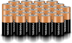 29.9 size D batteries