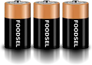 3.0 size D batteries