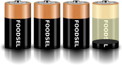 3.1 size D batteries
