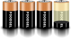 3.2 size D batteries