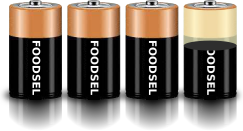 3.6 size D batteries