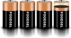 3.9 size D batteries