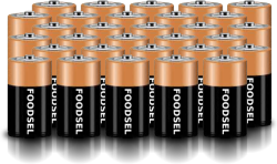 30.8 size D batteries