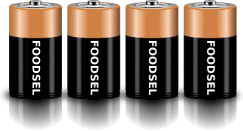 4.0 size D batteries